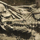 Imagen para el artículo titulado Este esqueleto de hace 3.000 años con más de 800 heridas es la víctima de ataque de tiburón más antigua conocida